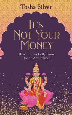 It's Not Your Money Book Cover