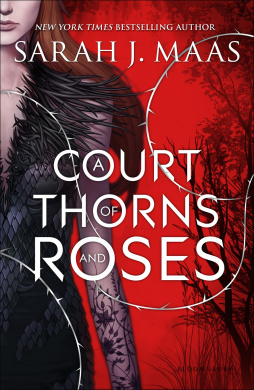 A Court of Thorns and Roses Coloring Book Book Cover