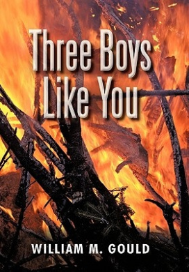 Three Boys Like You Book Cover
