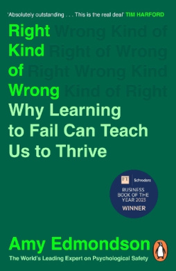 Right Kind of Wrong Book Cover