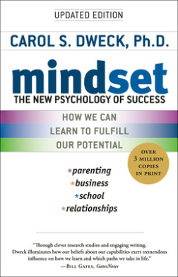 Mindset Book Cover